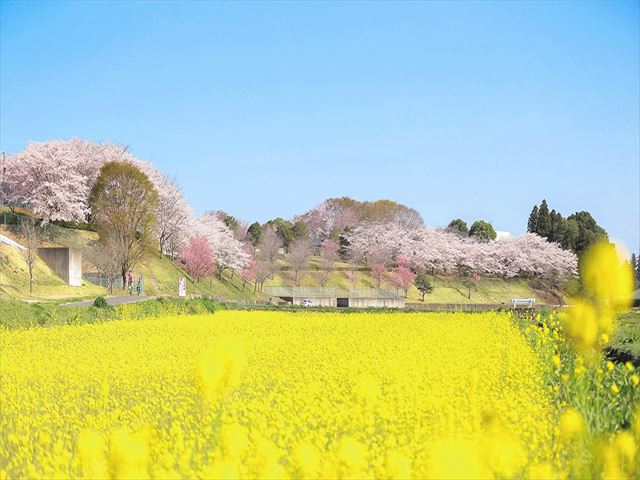 小美玉市外壁屋根塗装防水工事