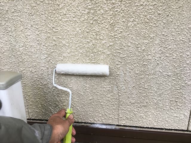 外壁バイオ洗浄