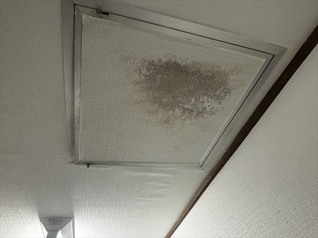 水戸市の事務所建物で室内天井から雨漏りの相談、緊急性が高そうで即時対応調査