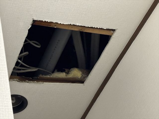 水戸雨漏り