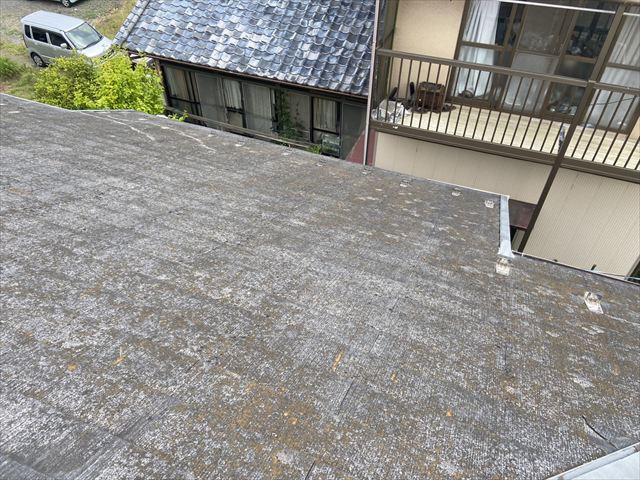 水戸市台風被害現調