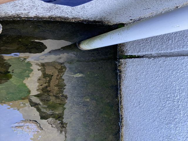 水抜き中の溜水状況