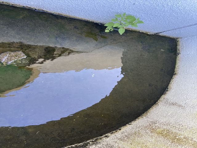 溜水したベランダ状空間
