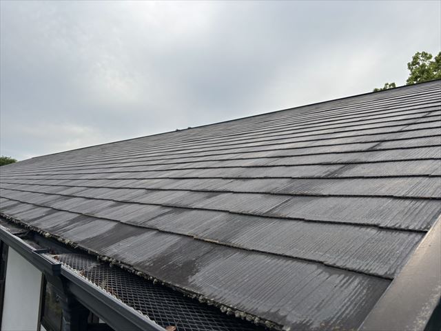 とあるお寺さんの建物の御見積に行ってきました。